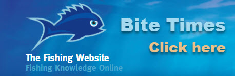 Understanding Bite Times - The Fishing Website